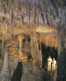 Mammoth Cave - ACT Tourism 0