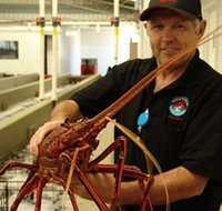 Lobster Shack - ACT Tourism