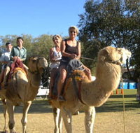 Calamunnda Camel Farm - ACT Tourism
