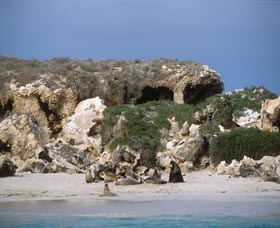 Jurien Bay WA ACT Tourism