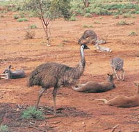 Hammond Park - ACT Tourism