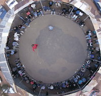 Two-Up School - ACT Tourism