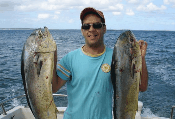 Jervis Bay Fishing and Charters - ACT Tourism