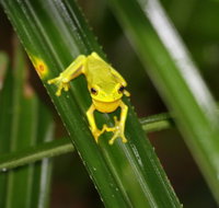 Daintree River Cruise Centre - ACT Tourism