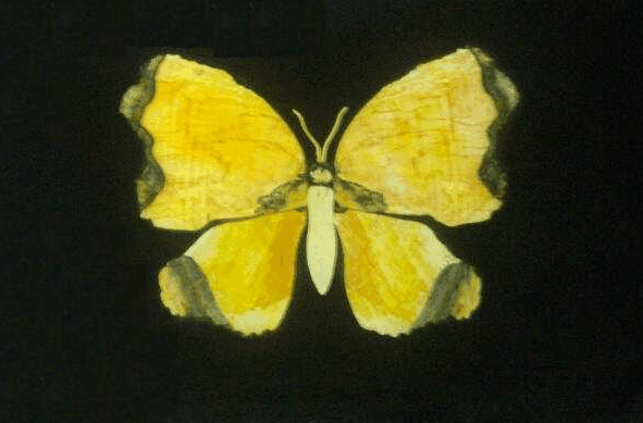 Wunjunga QLD ACT Tourism