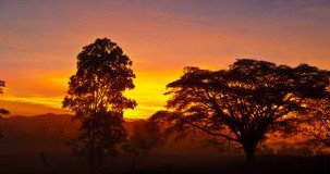 Ingan Tours - Spirit Of The Rainforest Tour - ACT Tourism 3