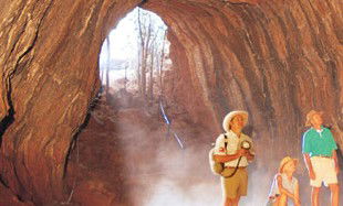 Undara Experience - ACT Tourism 3