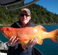 Gone Fishing by Coral Sea Fishing Charters Airlie Beach - ACT Tourism