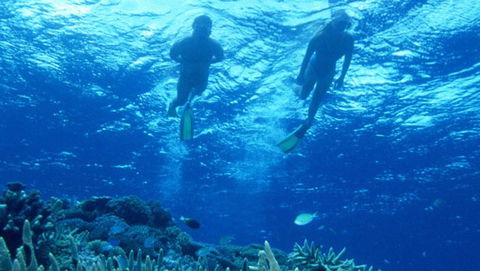 Air Whitsunday Day Tours - ACT Tourism 1