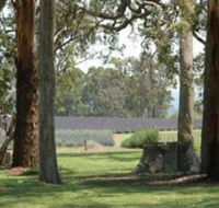 Aloomba Lavender - ACT Tourism