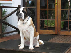 Mt Tamborine QLD ACT Tourism