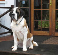 St Bernards Hotel - ACT Tourism