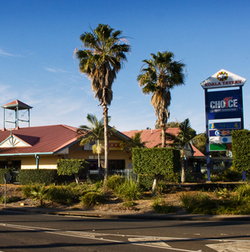 Koala Tavern - ACT Tourism 0