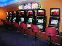 Swell Tavern - ACT Tourism 1