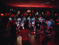 The Night Cat - ACT Tourism 1