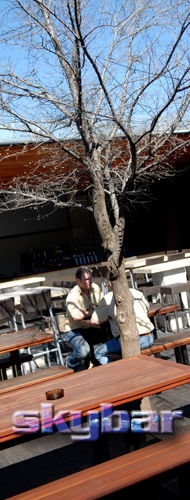 Alma Tavern - ACT Tourism 2