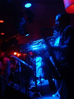 The Night Cat - ACT Tourism 2