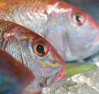 Coro Hotel - Lure Seafood Restaurant - ACT Tourism