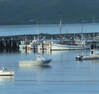 The Apollo Bay Hotel - ACT Tourism