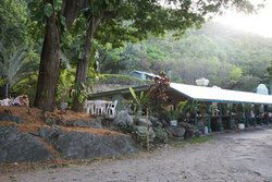 Ellis Beach Bar & Grill - ACT Tourism 0