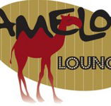Camelot Lounge - ACT Tourism