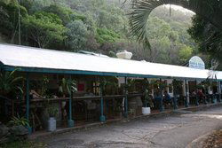 Ellis Beach Bar & Grill - ACT Tourism 1