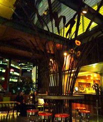 Treehouse Hotel - ACT Tourism 2