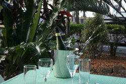 Ellis Beach Bar & Grill - ACT Tourism 3