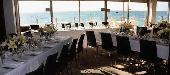 Blue Duck - ACT Tourism 1