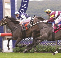 Gosford Race Club - ACT Tourism