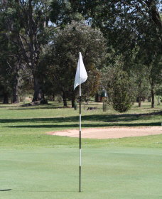 Inverell Golf Club - ACT Tourism 1