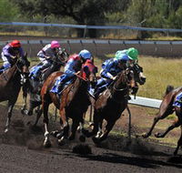 Alice Springs Turf Club - ACT Tourism