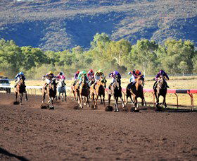 Alice Springs Turf Club - ACT Tourism 6