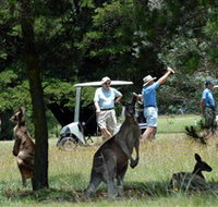 Glen Innes Golf Club - ACT Tourism