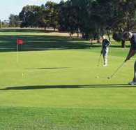 Waikerie Golf Club - ACT Tourism