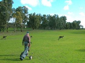 Louth Bay SA ACT Tourism