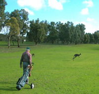 Coffin Bay Golf Club - ACT Tourism
