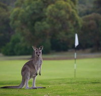 Anglesea Golf Club - ACT Tourism
