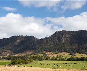 Bretti NSW ACT Tourism