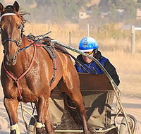 Ballarat  District Trotting Club - ACT Tourism