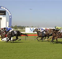 Kembla Grange Racecourse - Illawarra Turf Club - ACT Tourism