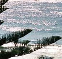 Bondi Social - ACT Tourism