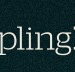 Dumpling Republic - ACT Tourism