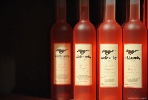 Fennell Bay Cellars - ACT Tourism 0