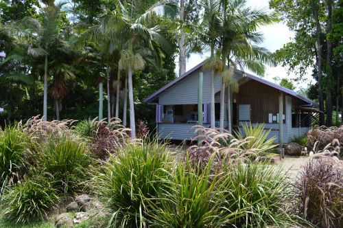 Wongaling Beach QLD ACT Tourism