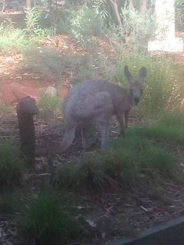 Bean Tree Cafe & Gifts - ACT Tourism 4