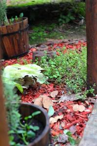 Herveys Range Heritage Tea Rooms - ACT Tourism 1