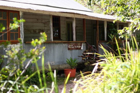Herveys Range Heritage Tea Rooms - ACT Tourism 3