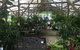Limberlost Nursery & Garden Centre - thumb 1