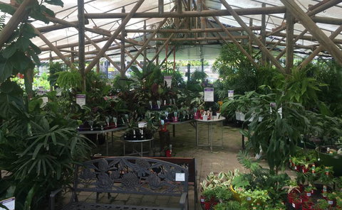 Limberlost Nursery & Garden Centre - ACT Tourism 1